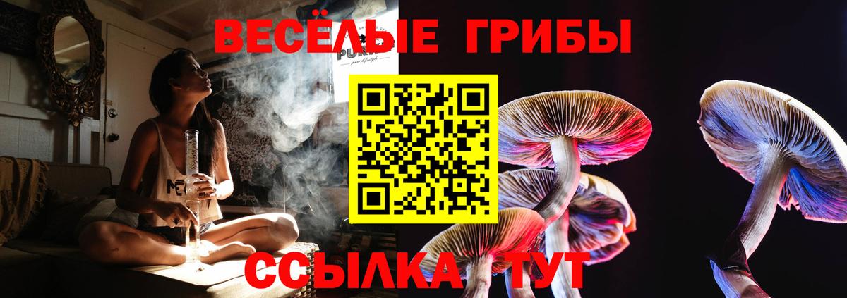 Благодарный  Галлюциногенные грибы GOLDEN TEACHER  хочу наркоту  Псилоцибиновые грибы мухоморы  Вход с VPN 